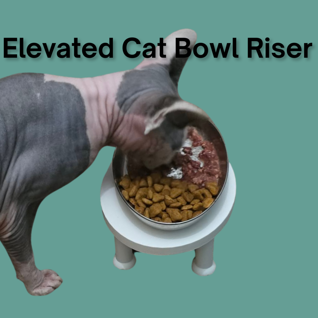 Elevated Feeding Bowl Riser
